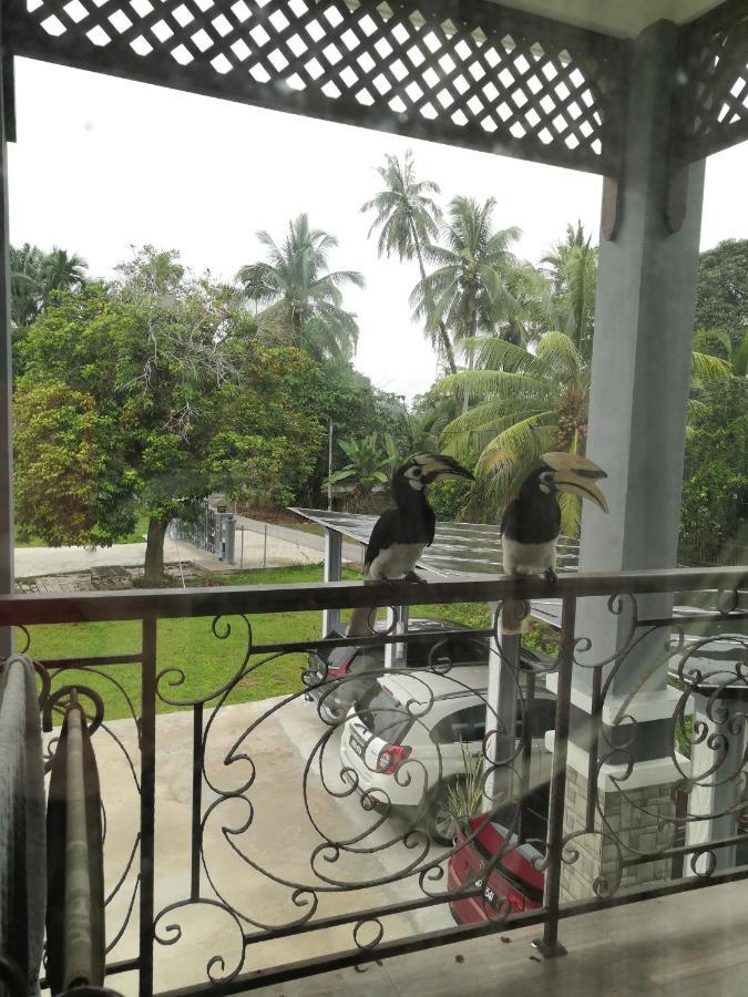 Darney'S Homestay Kg Bangau Tanjung Temerloh Buitenkant foto